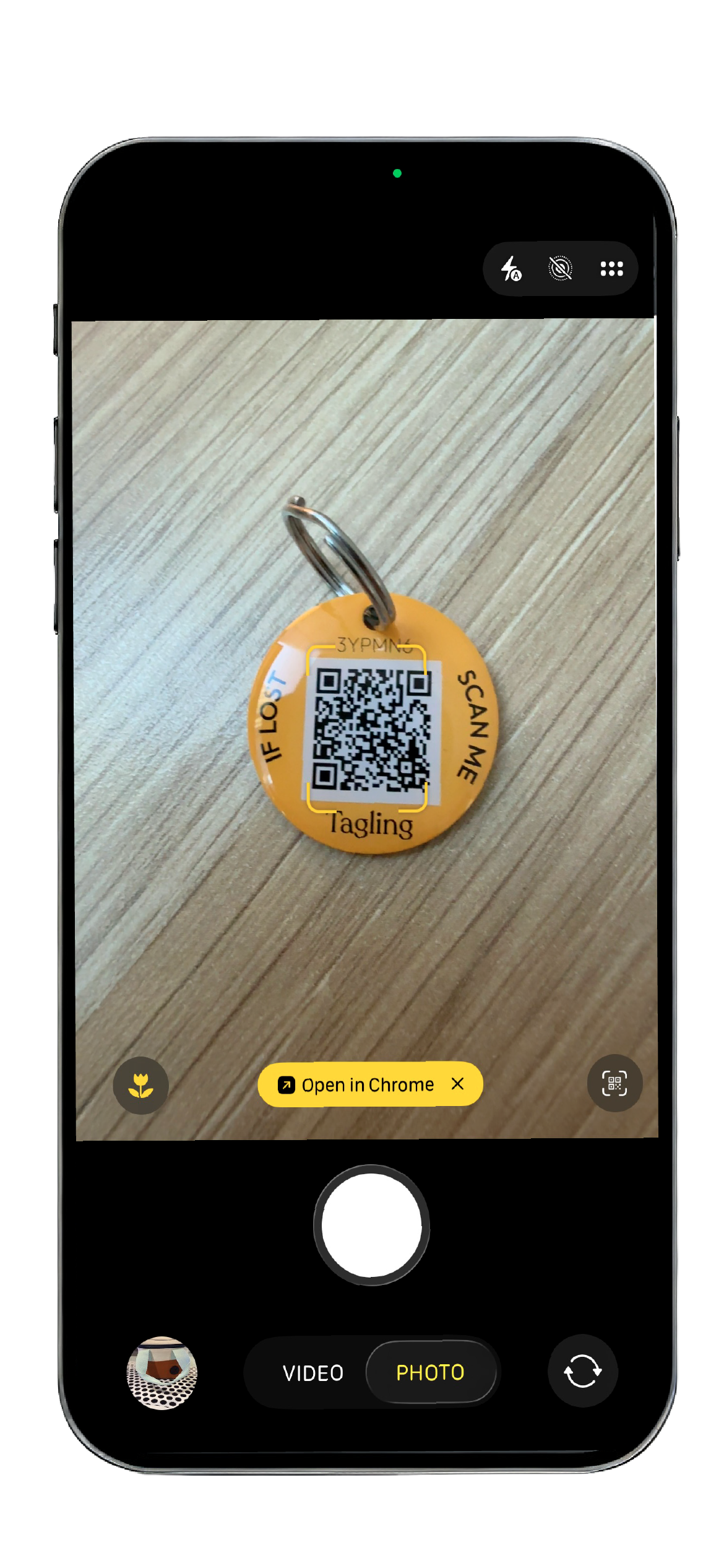 Phone notification: 'Bella's tag was just scanned near Bondi Beach'