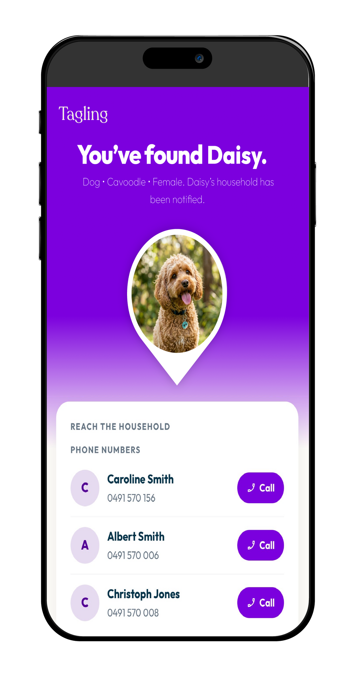The finder-facing page on a phone showing the pet's name and a Contact button
