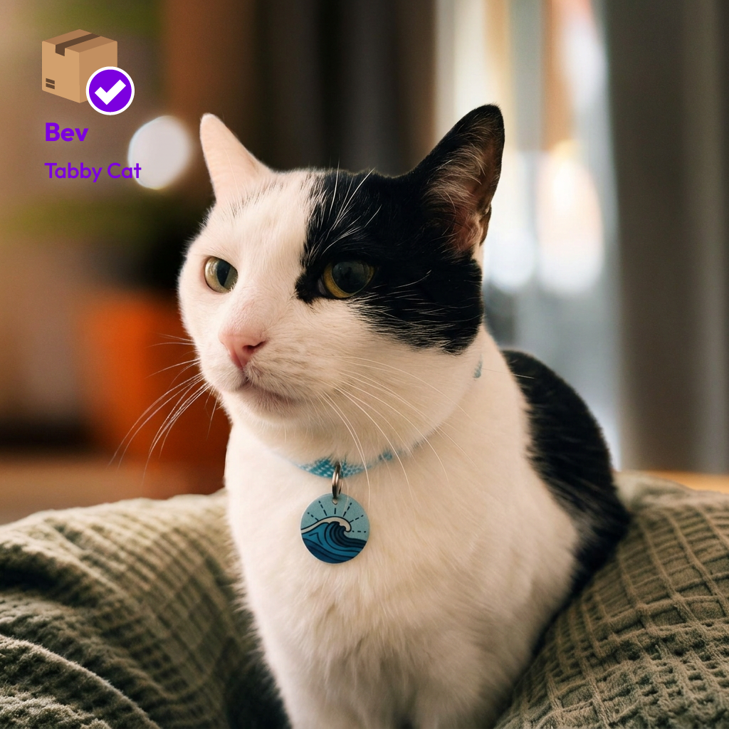 Tabby cat wearing a teal Tagling tag on its collar, with a delivery confirmation for Cleo the tabby cat