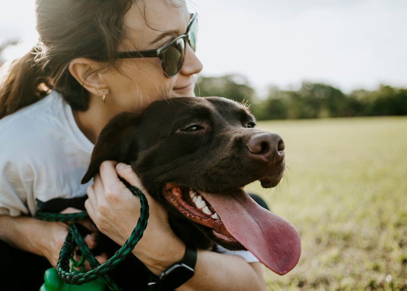 Recommend the smartest pet tag on the market and get paid for it